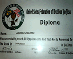 Diploma Purple Belt